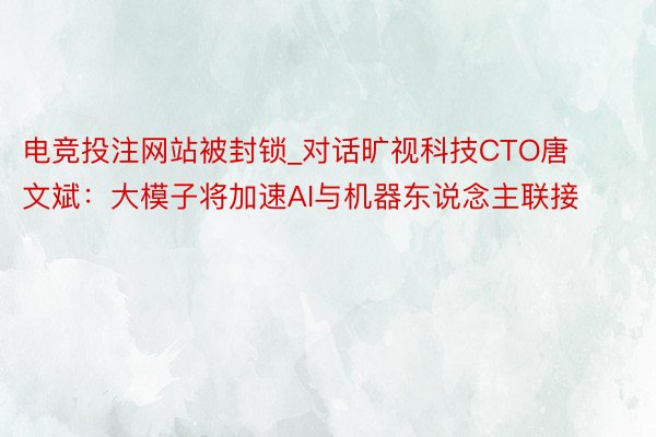 电竞投注网站被封锁_对话旷视科技CTO唐文斌：大模子将加速AI与机器东说念主联接