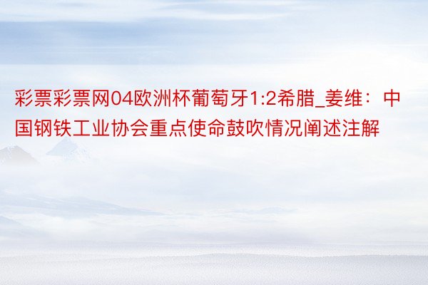 彩票彩票网04欧洲杯葡萄牙1:2希腊_姜维：中国钢铁工业协会重点使命鼓吹情况阐述注解